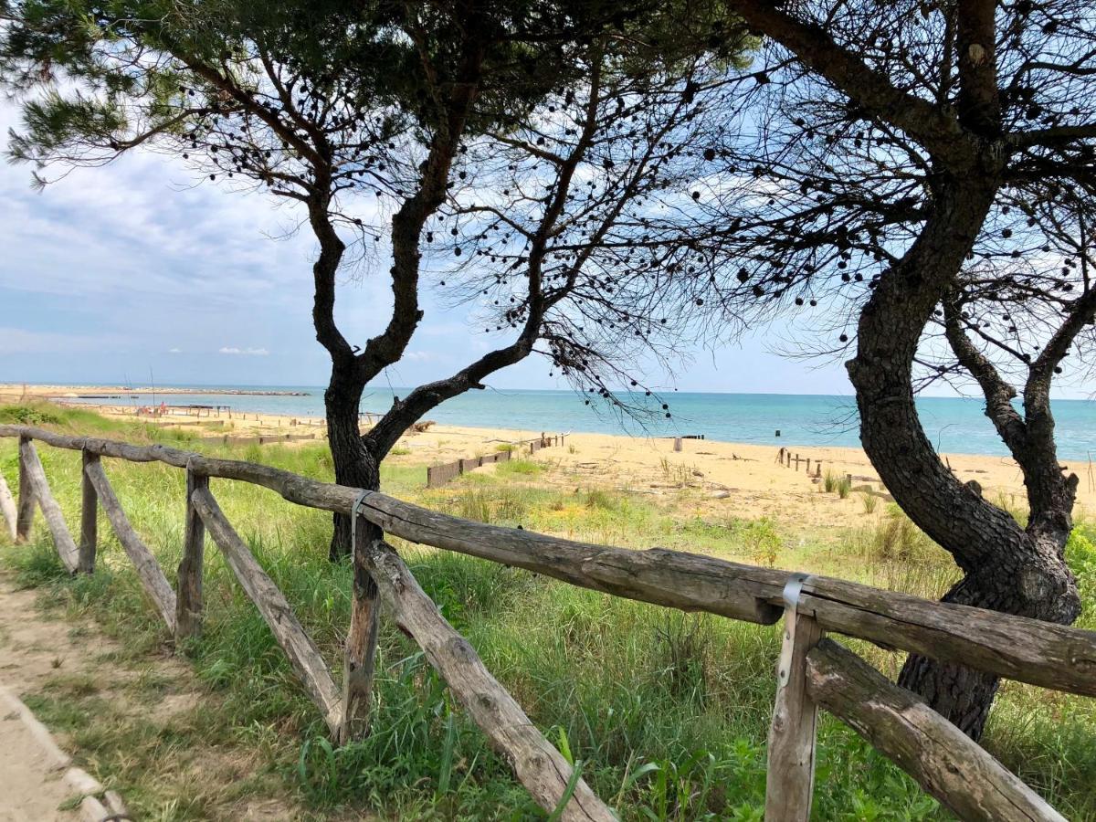 Condominio Zenith Bibione Dış mekan fotoğraf